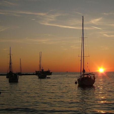 Tamaris, 600 M From The Beach Novigrad Istria エクステリア 写真