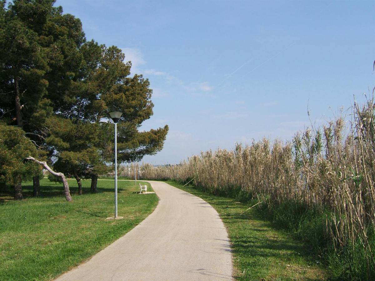 Tamaris, 600 M From The Beach Novigrad Istria エクステリア 写真