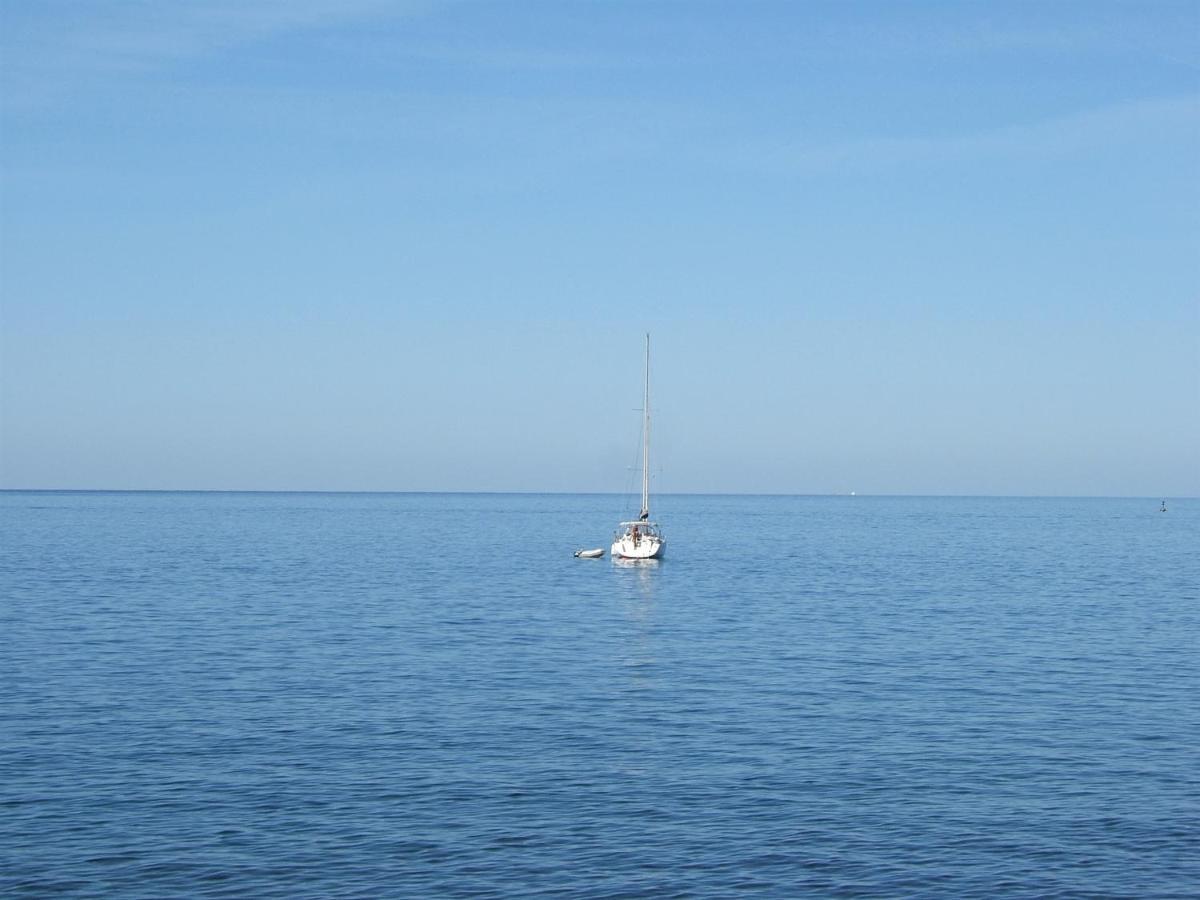 Tamaris, 600 M From The Beach Novigrad Istria エクステリア 写真